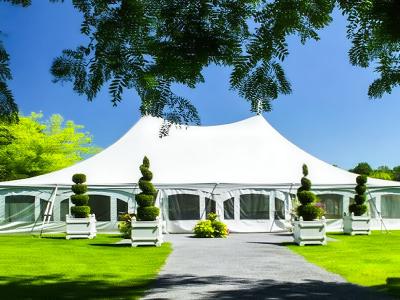 Hercules Mirror-faced Tent Fabric