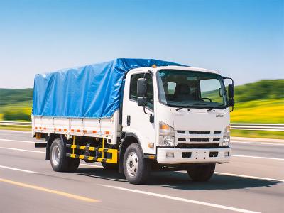 Coated Tarpaulin 18oz/610gsm